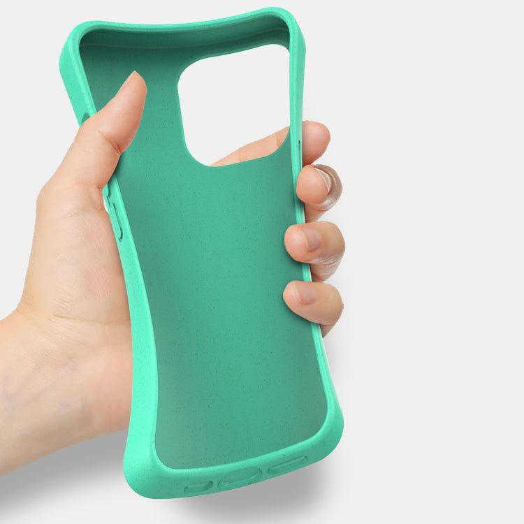Starry Series Shockproof Straw Material + TPU Protective Case, For iPhone 13 Pro
