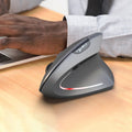 HXSJ T29 Bluetooth 3.0 Wireless Bluetooth 6-Keys 2400 DPI Adjustable Ergonomics Optical Vertical Mouse, 6 Buttons T29 Grey
