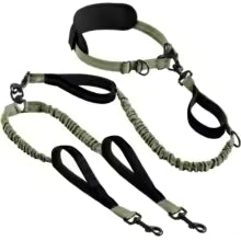 Explosive Double Dog Running Lead